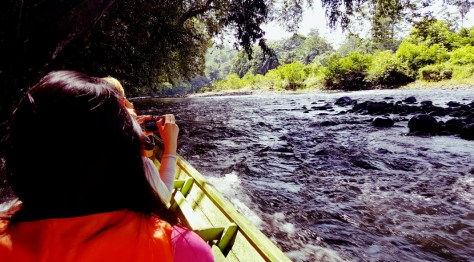 Screenshot_20170617-110814