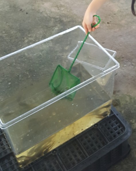 Screenshot_20170723-192605