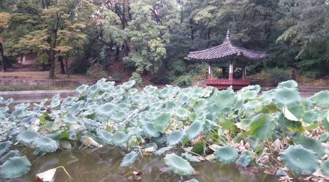 Changdeokgung Palace in Seoul, South Korea: A UNESCO World Heritage Site