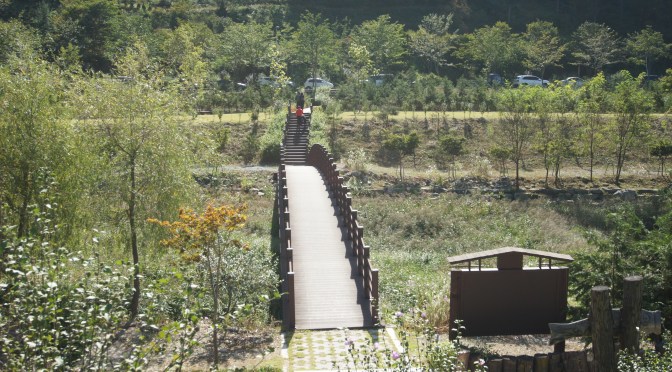 Wanju Wild Food Festival: Have a glimpse of how food were cooked in the past