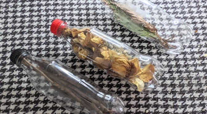 Springtime Activity: Nature Sensory Bottles